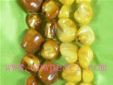 elegant teeth shaped shell strand with two colors